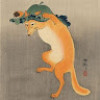 Picture of nicolas gruson